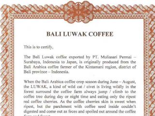 BALI Kopi LUWAK